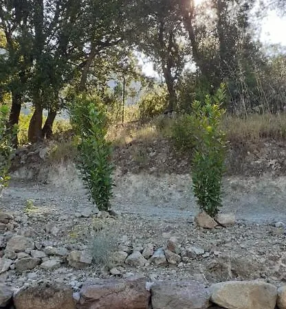 Casa Prunelli Appartamento *