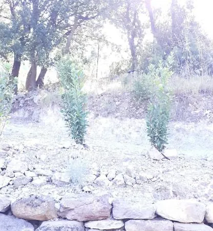 Lejlighed Casa Prunelli *