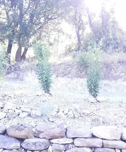 Apartment Casa Prunelli *