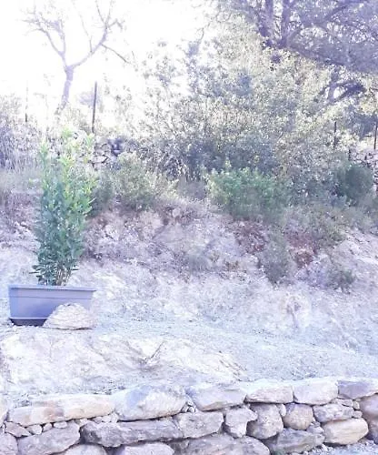 Casa Prunelli Apartment *